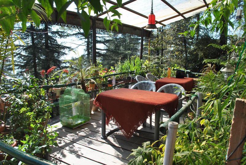 McLeodGanj Homestay at The Flourishing Flora photo 2