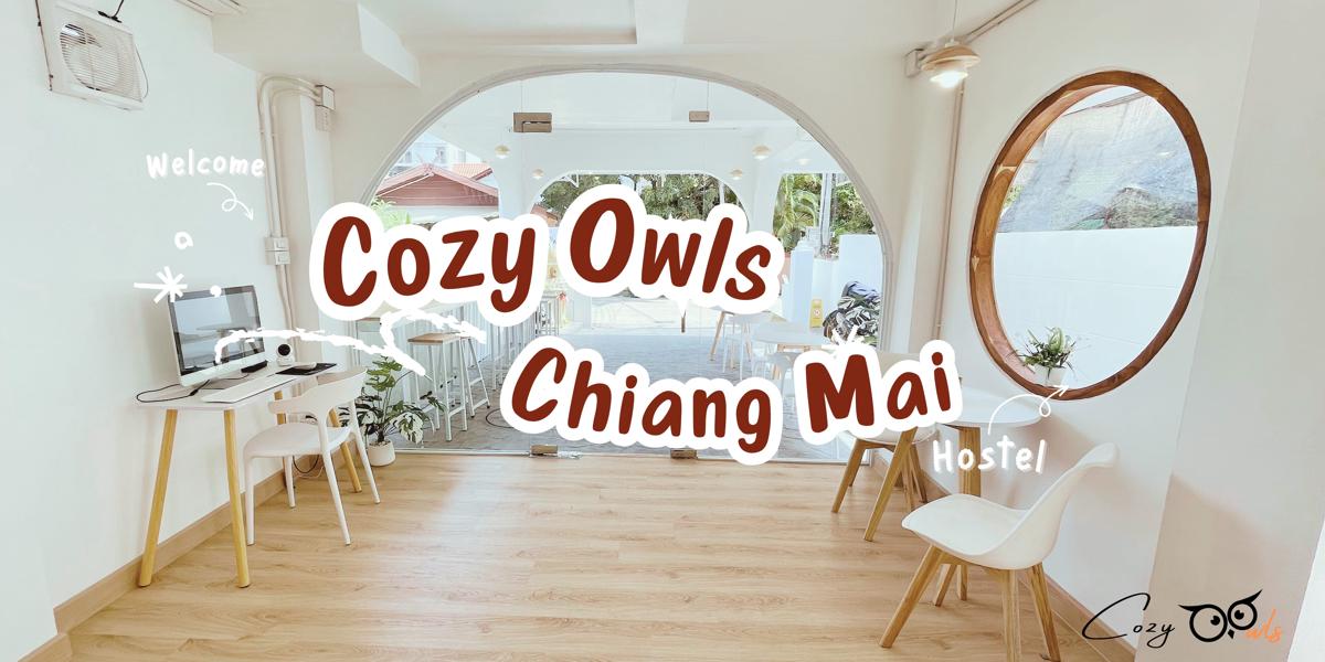 Cozy Owls Chiang Mai photo 2