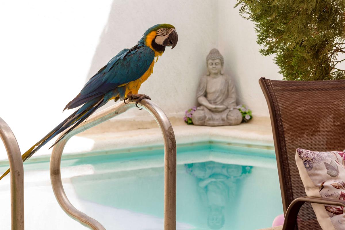 Maria's House - Boutique Hotel photo 1
