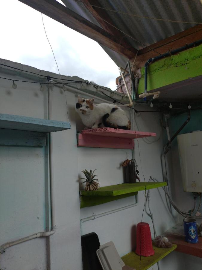 Casa de los colores photo 6