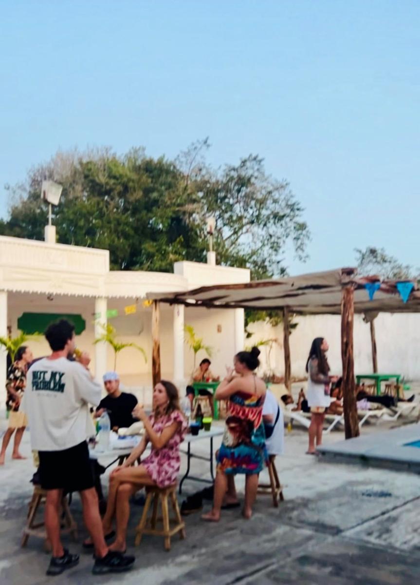Treebu Hostel photo 2