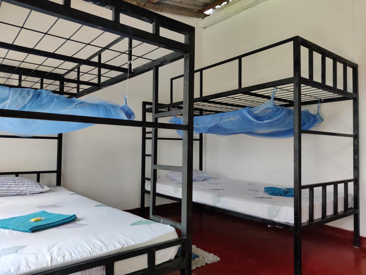 Nature Lovers' Hostel photo 2