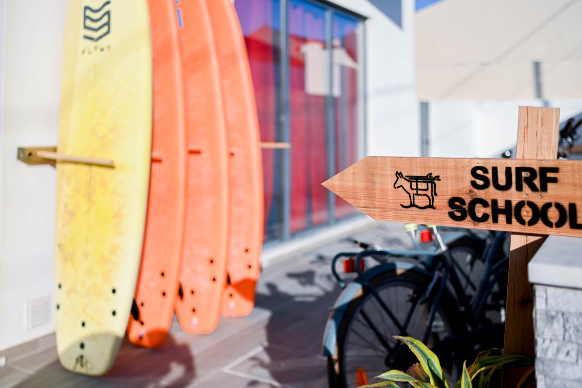 Ferrel Surf School photo 3