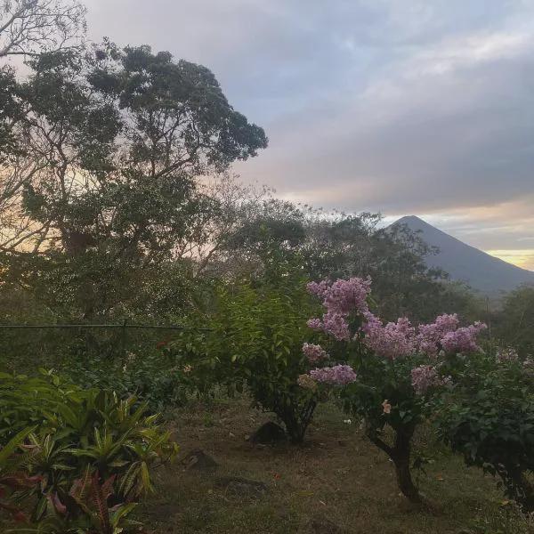 Finca Ecologica El Porvenir photo 5