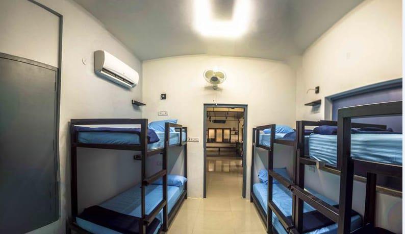 THC Hostel photo 3