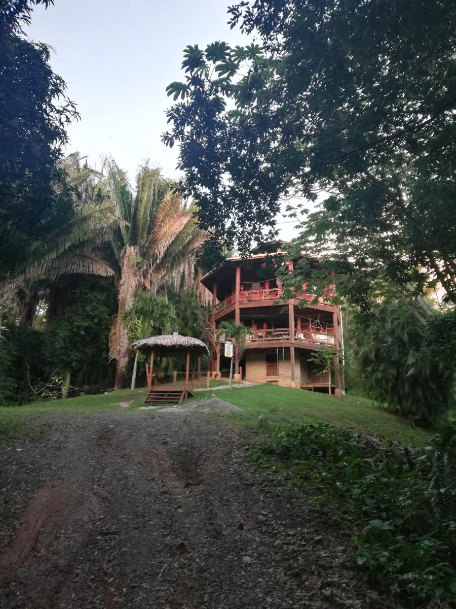 Runaway Pineapple Lodge photo 1