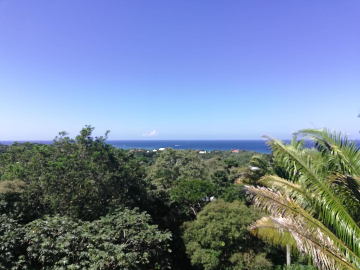 Runaway Pineapple Lodge photo 2