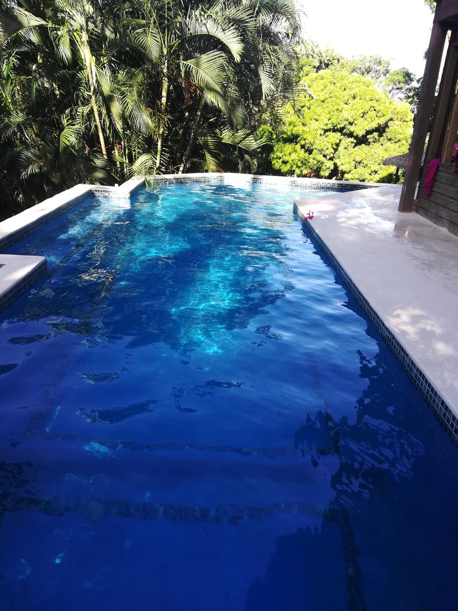 Runaway Pineapple Lodge photo 3