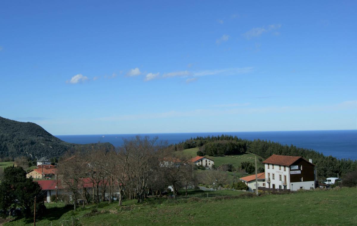 Arboliz photo 4