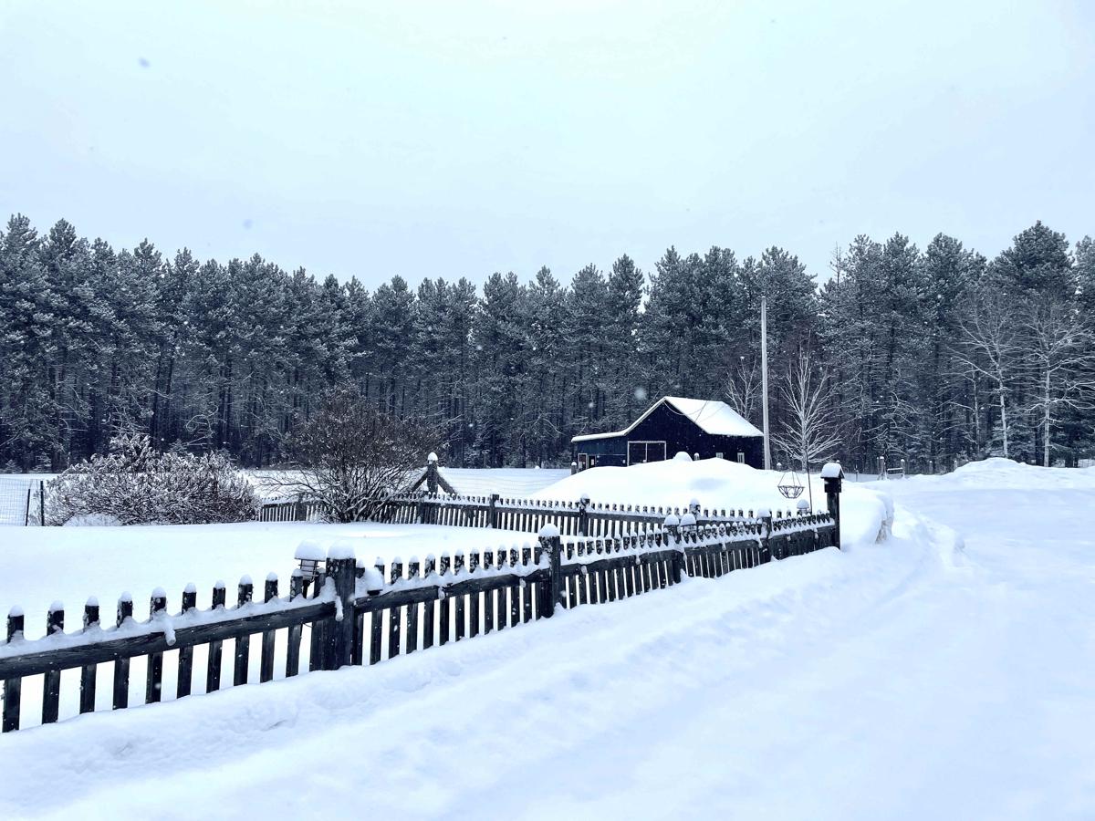 The Maine Roadhouse Hostel & Lodge LLC photo 2