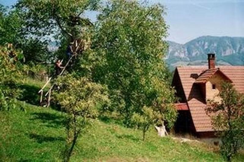 Poarta Zmeilor Guesthouse photo 2