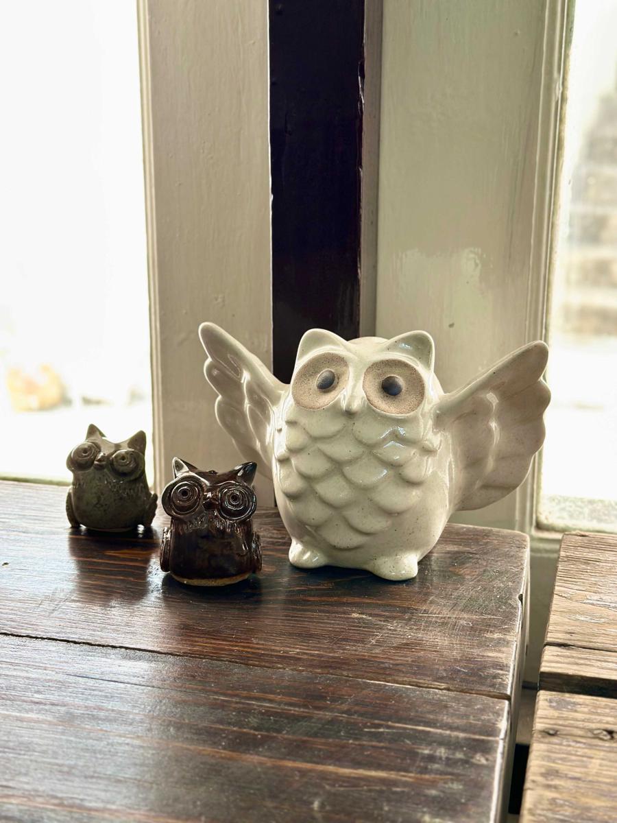 Sleep Owl Chiang Mai photo 3