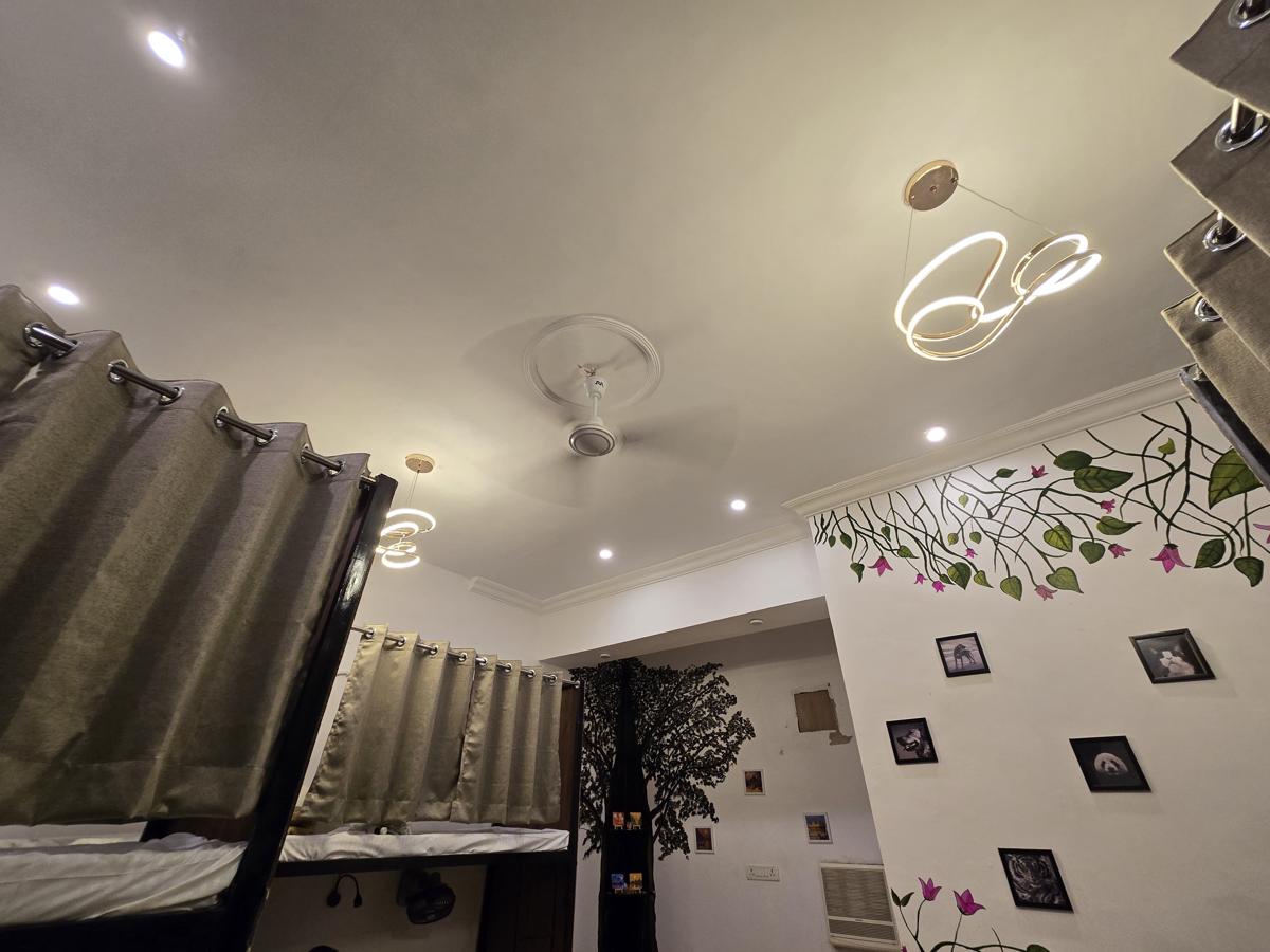 Green Olive Hostel photo 1