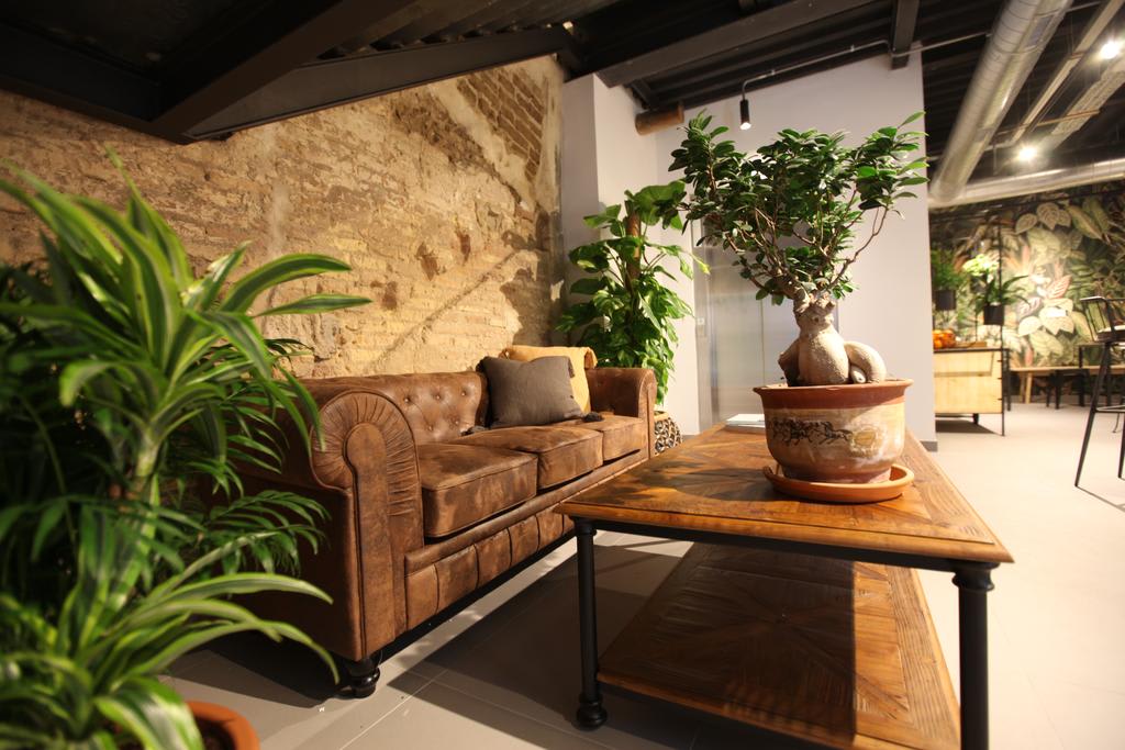The Botanic Hostel photo 1