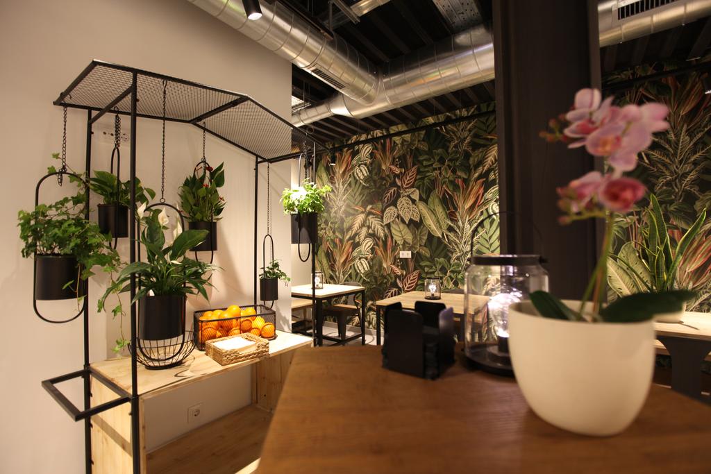 The Botanic Hostel photo 2