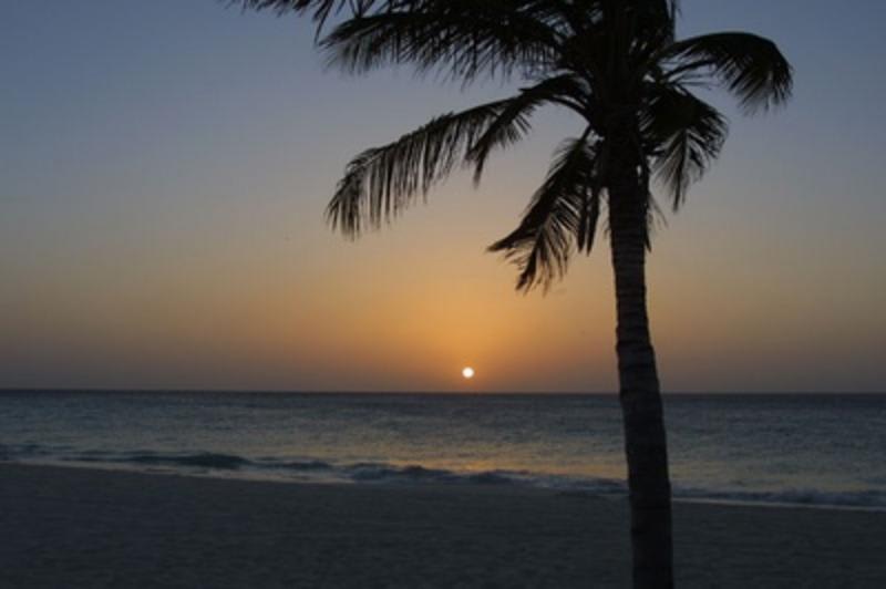 Aruba Harmony photo 1