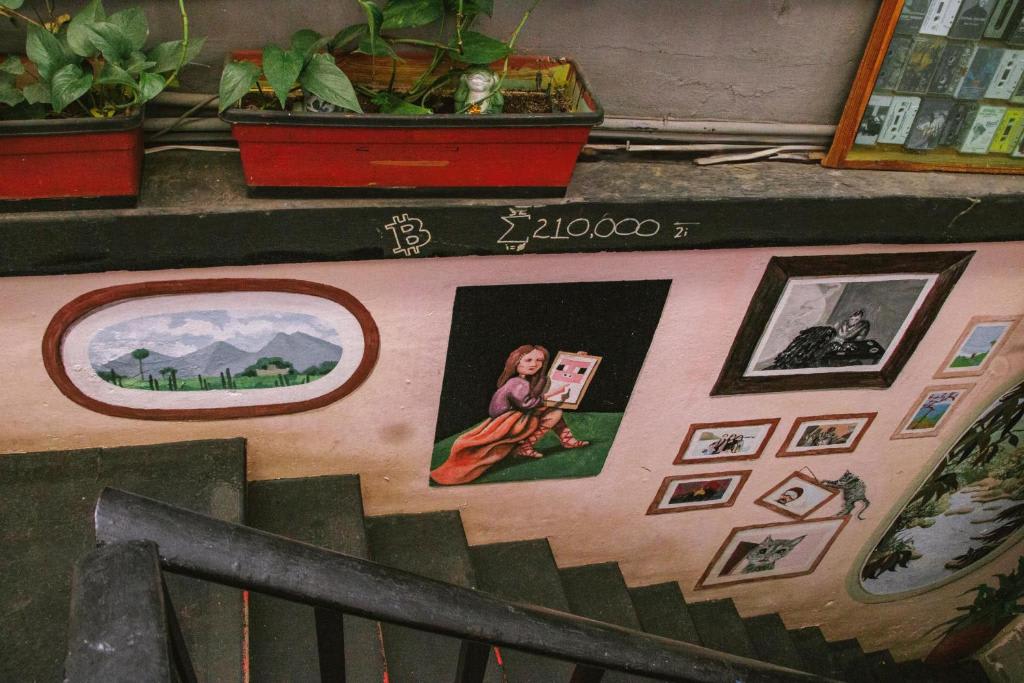 La Luna Hostel photo 6