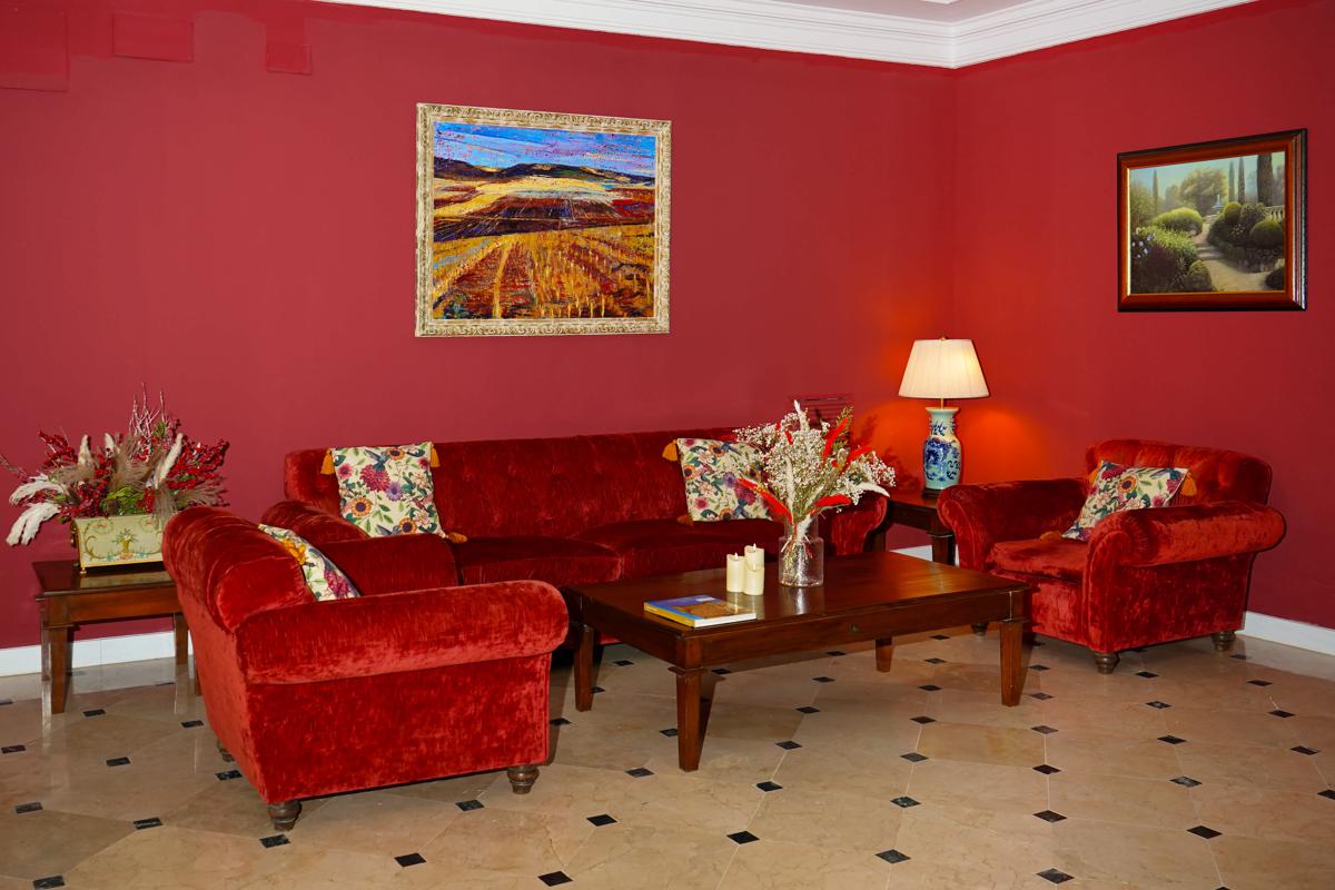 Nuevo Hotel Parque Cabañeros photo 6