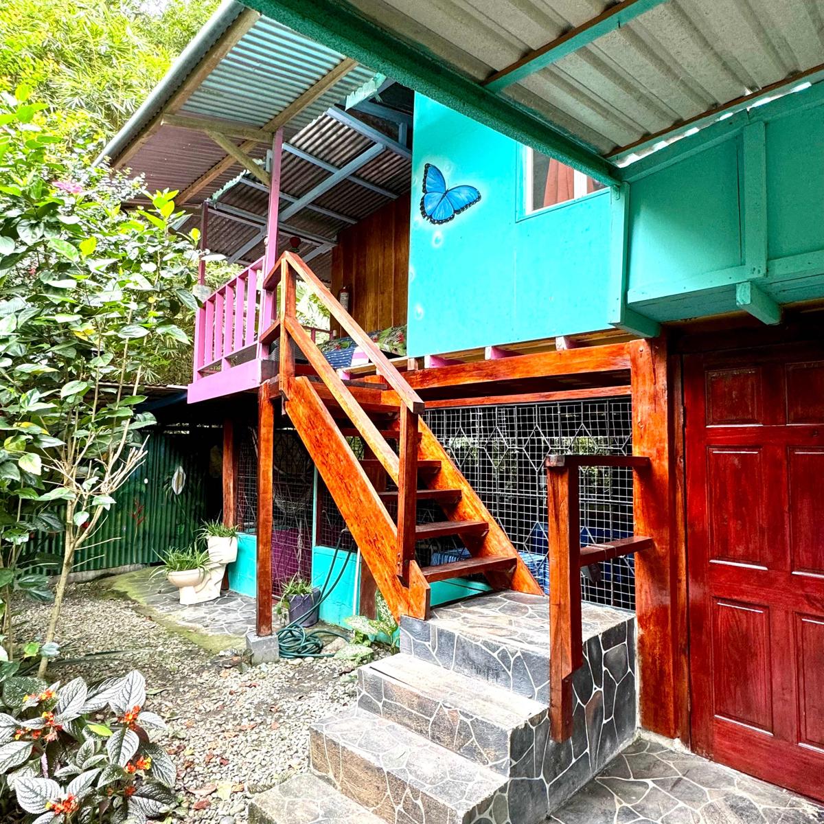 Hidden Jungle Beach House photo 1