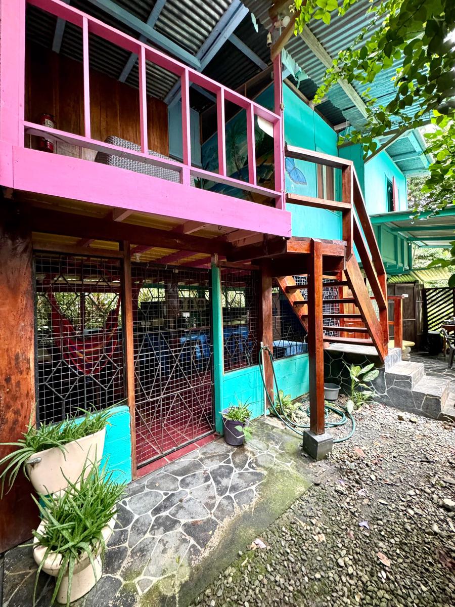Hidden Jungle Beach House photo 2
