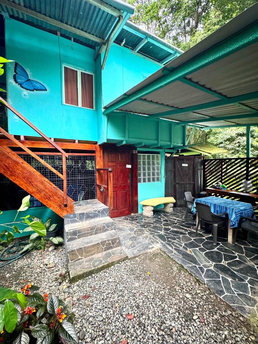 Hidden Jungle Beach House photo 3
