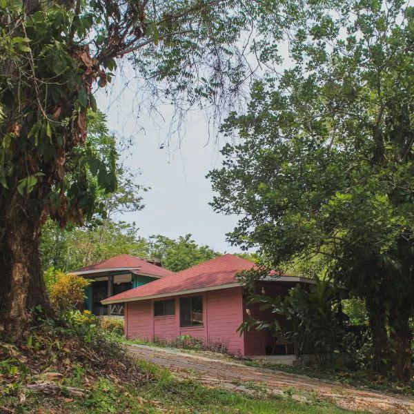 Winíka Alterra photo 5