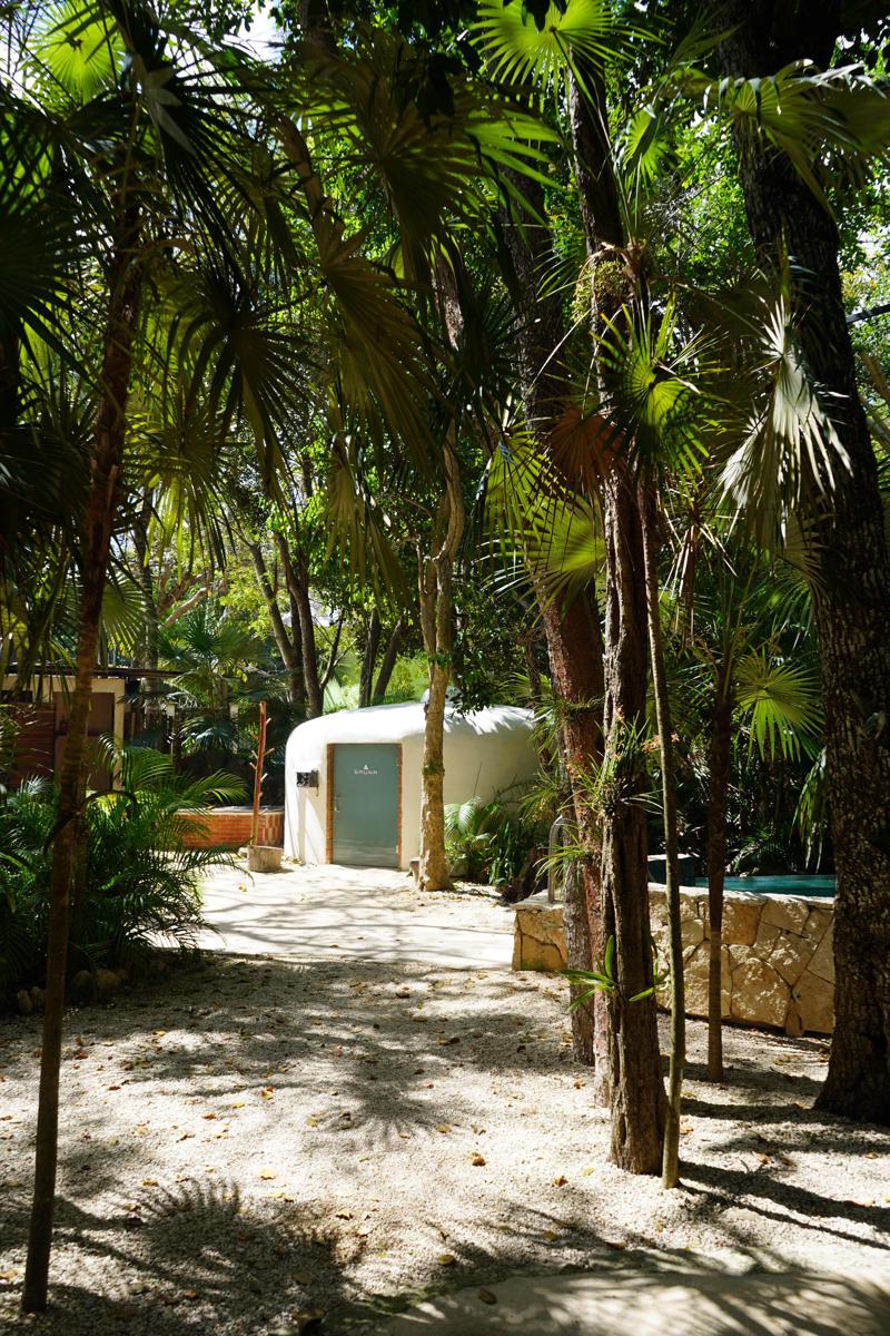 Bufo Alvarius Sanctuary photo 2