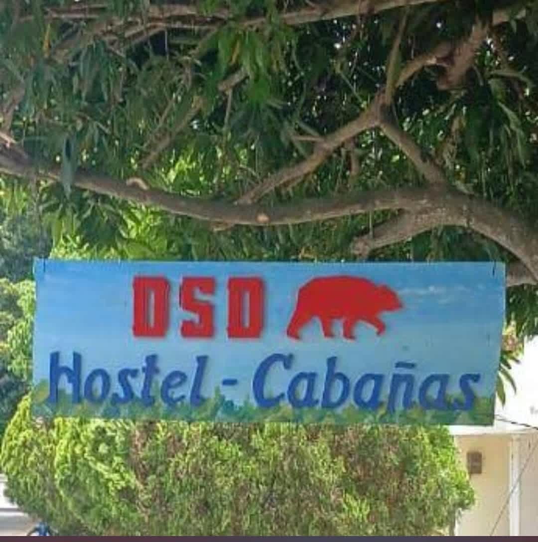 OSO Hostel photo 2