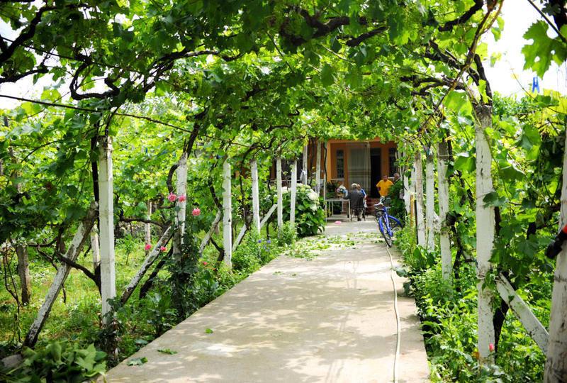 Florian's Guest House photo 1