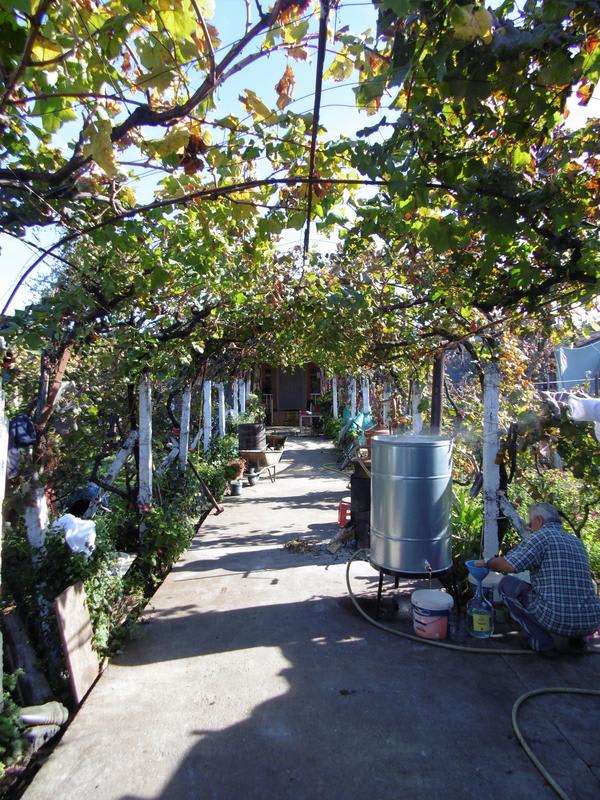 Florian's Guest House photo 3