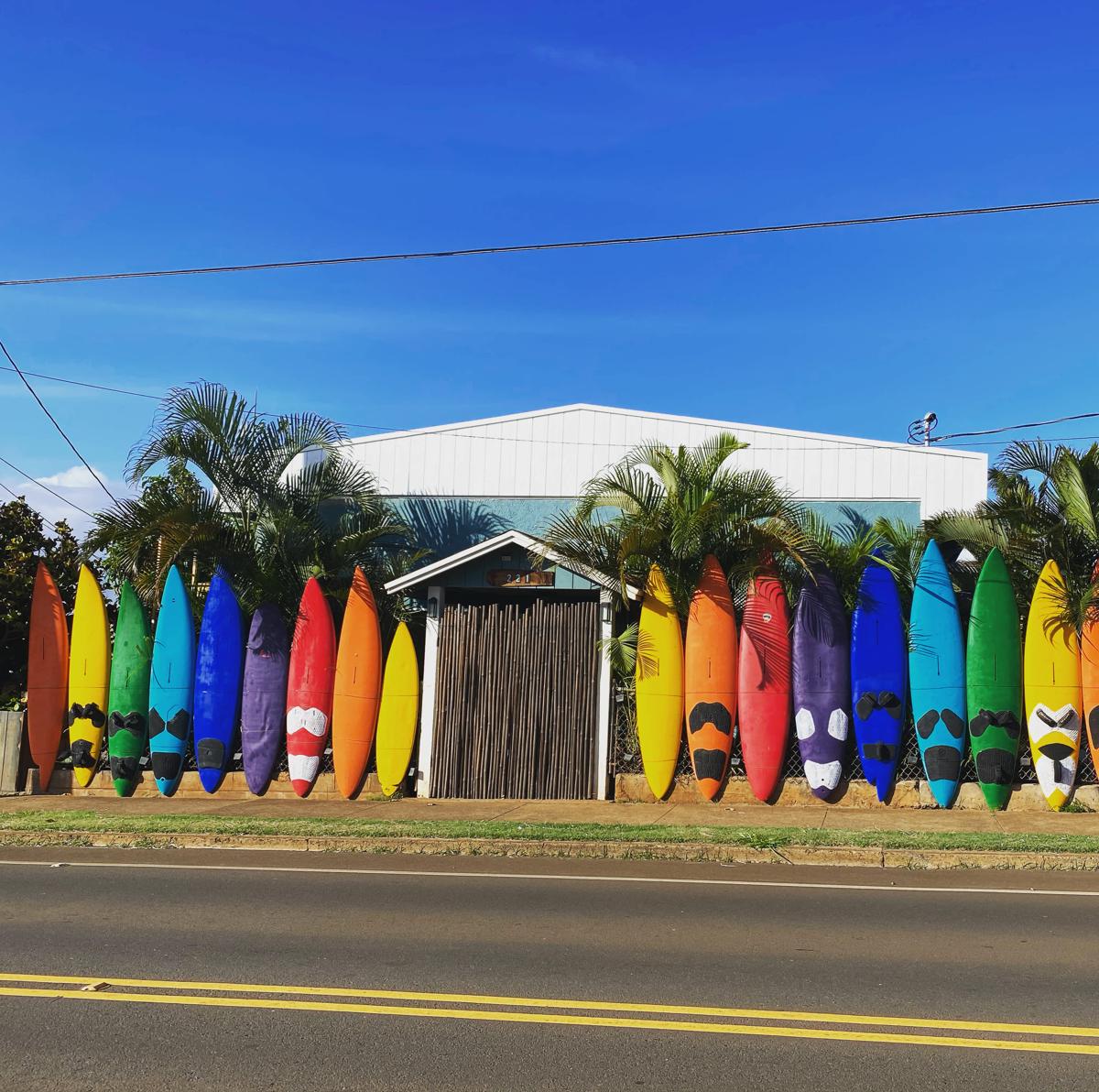 Aloha Surf Hostel photo 1