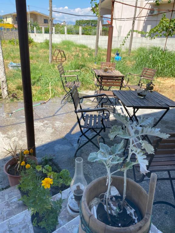 North Gate Guest House & Camping photo 3