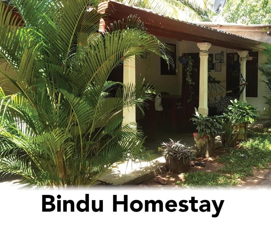 Hostel Bindu photo 3