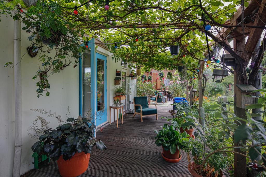 The Explorer's Hostel photo 1