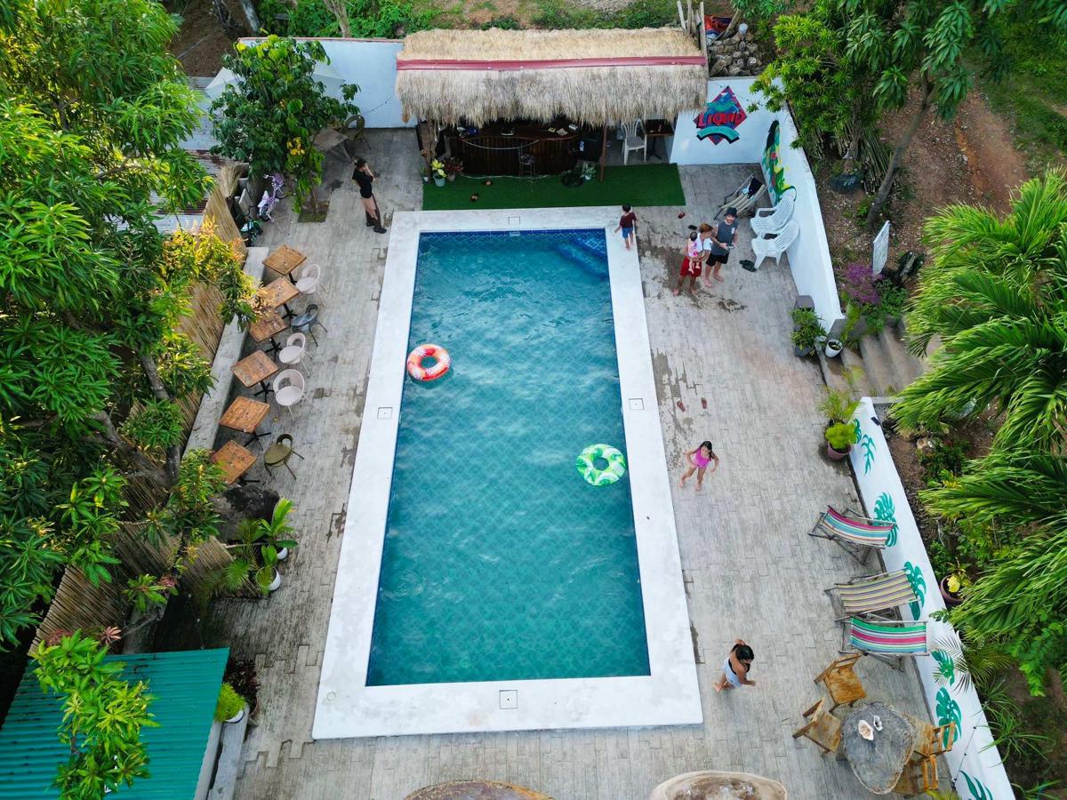 Screaming Gecko Hostel photo 1
