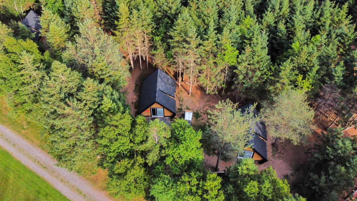 Wild Pines Cabins photo 2