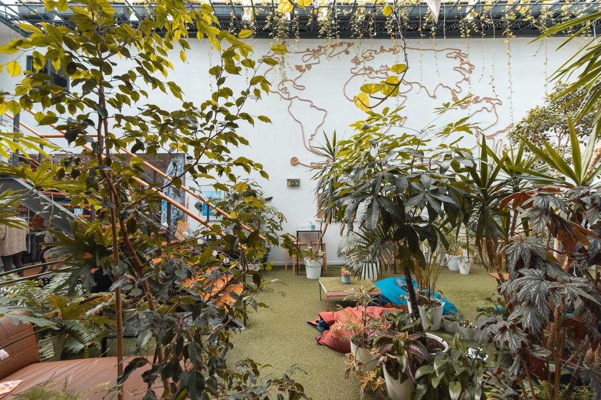 Lisbon Destination Hostel photo 3
