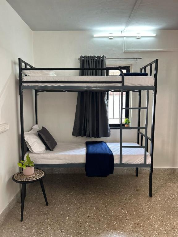 Tripvana Backpacker Hostel photo 2