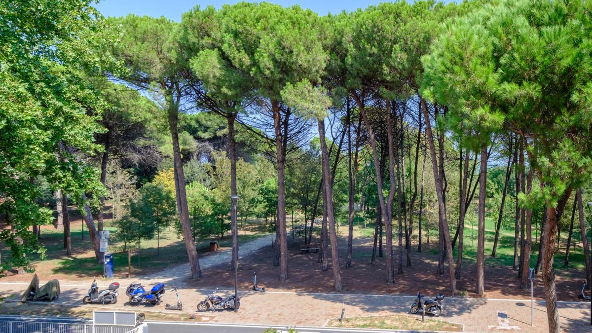 Meet Hostel Cervia photo 3