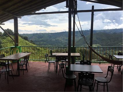 Hostal Girasoles photo 6