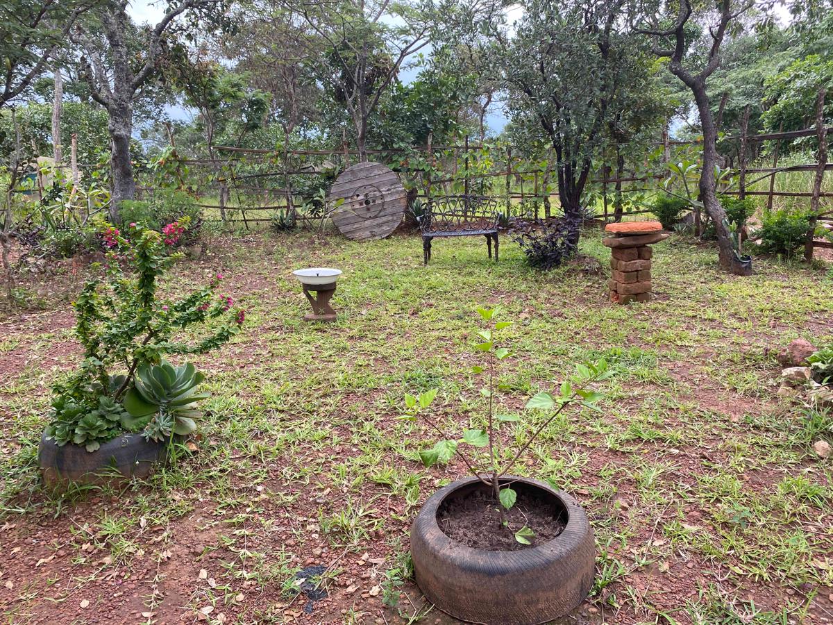 Casamunji Mkapalila photo 5