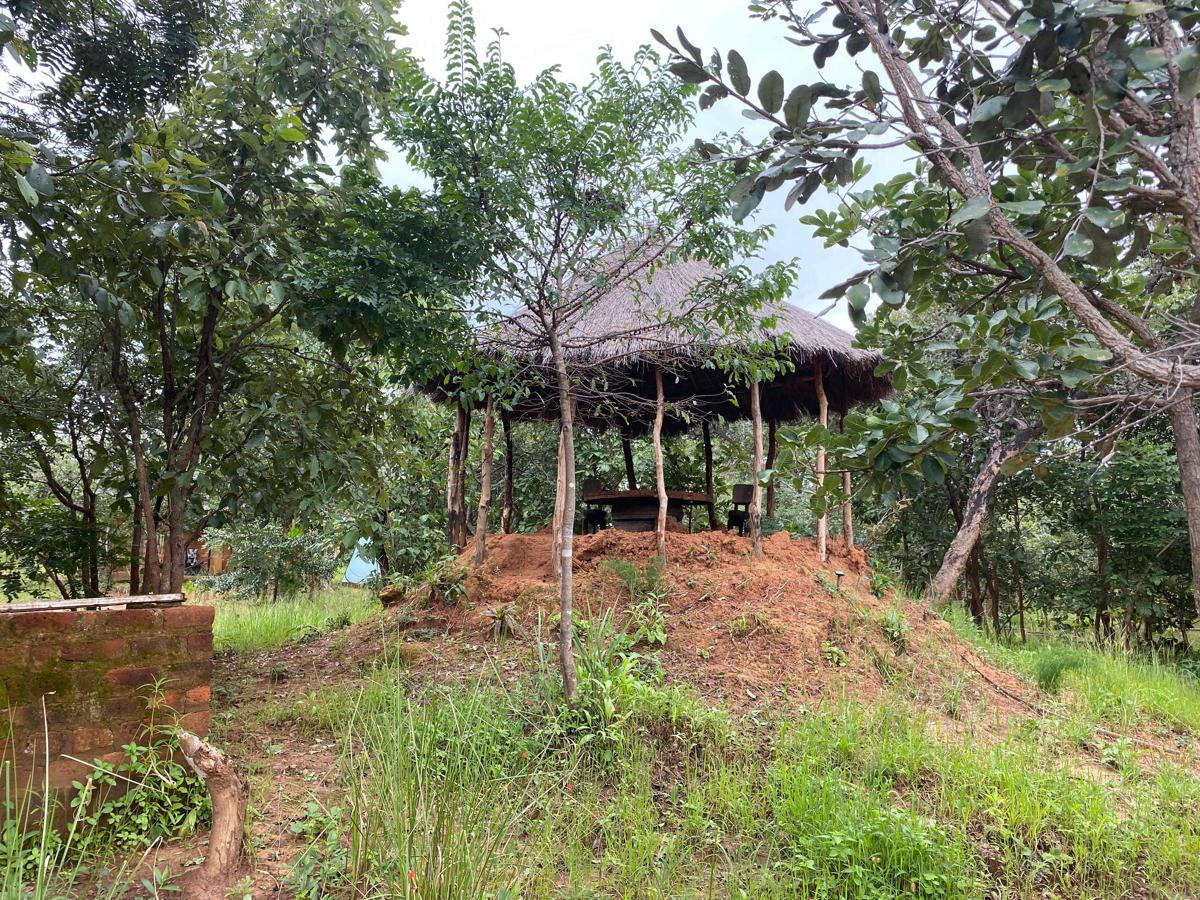 Casamunji Mkapalila photo 6