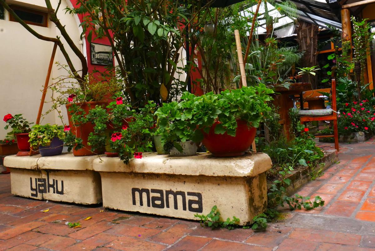 Hostal Yakumama photo 4