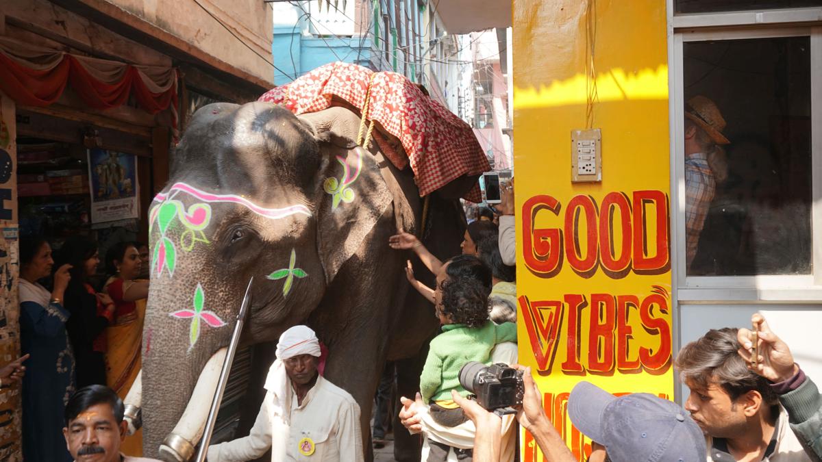 Good Vibes Hostel photo 1