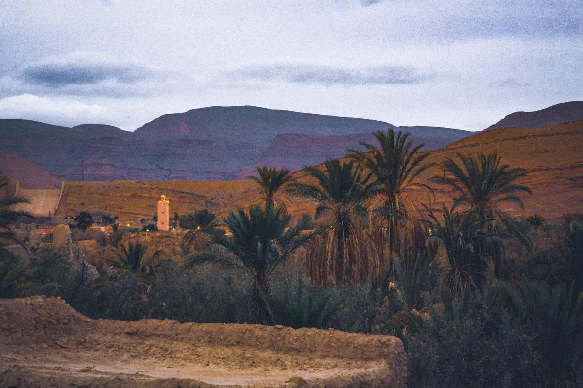 Oasis Travel photo 3