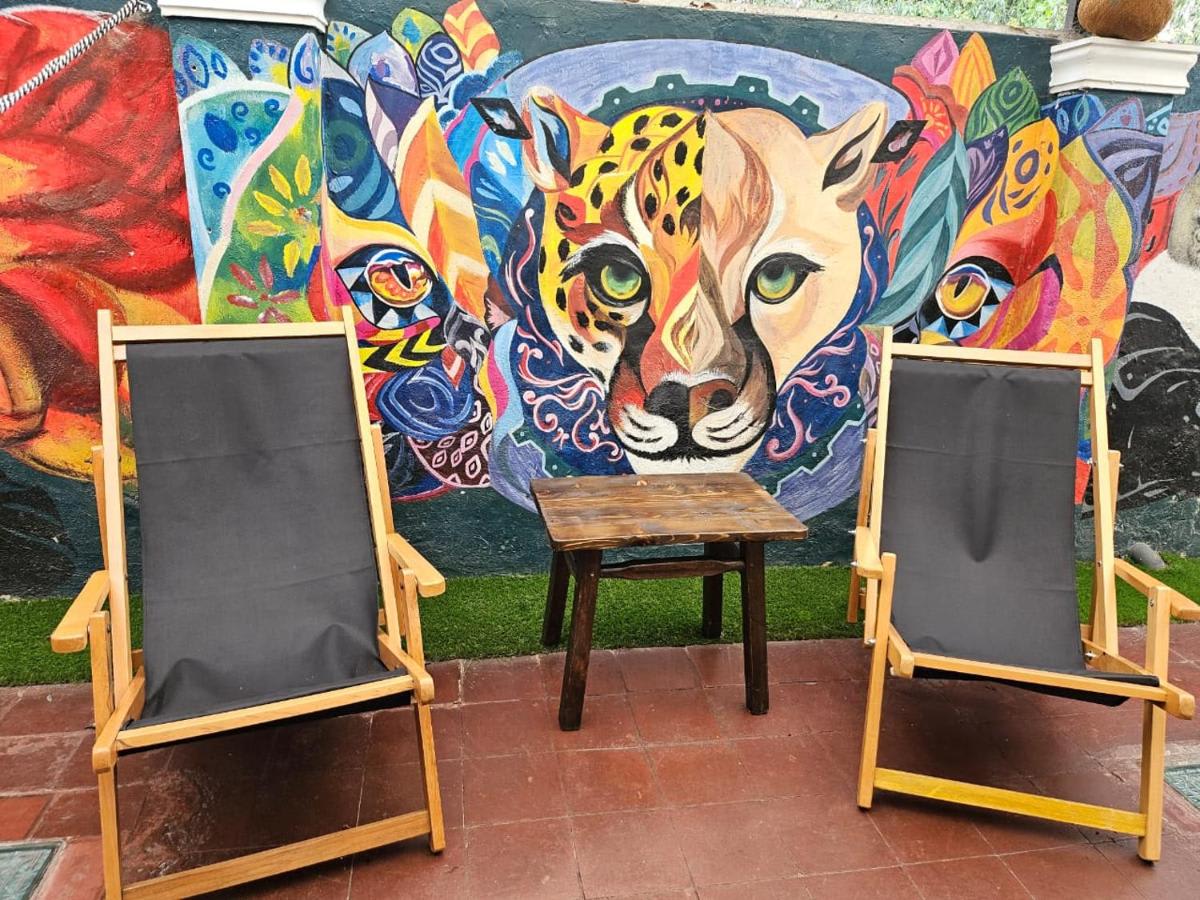 Casa Samor photo 3