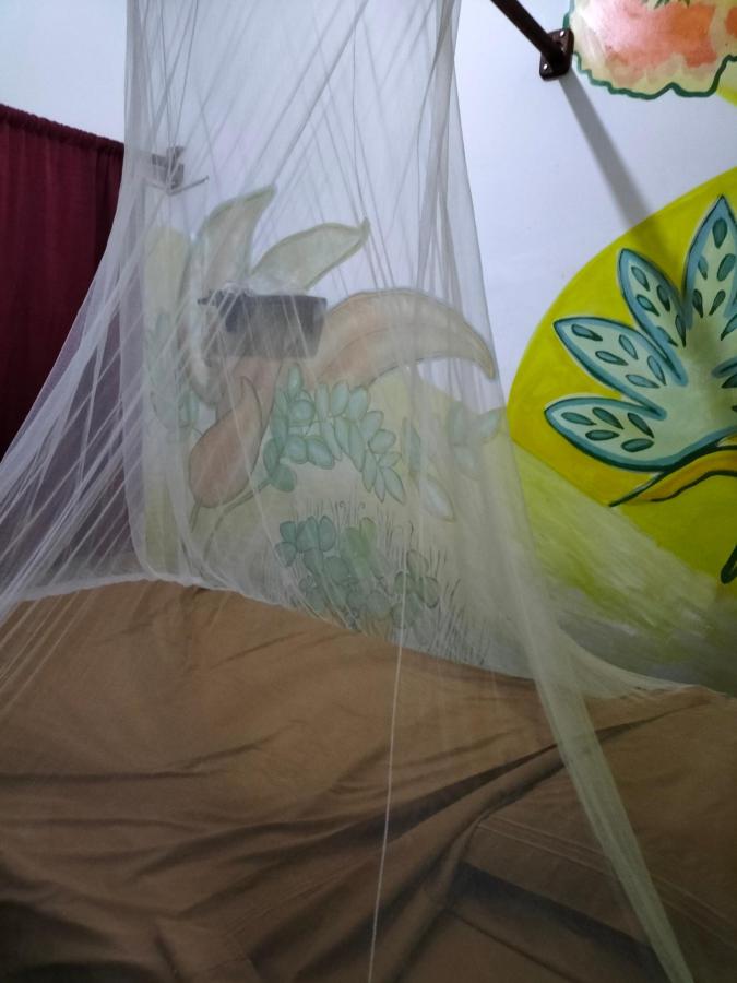 El Curichal Hostel photo 6