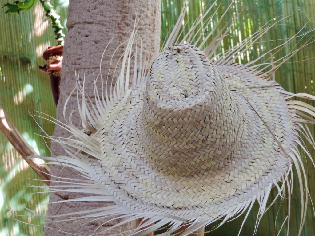 Banana Garden Beach photo 2