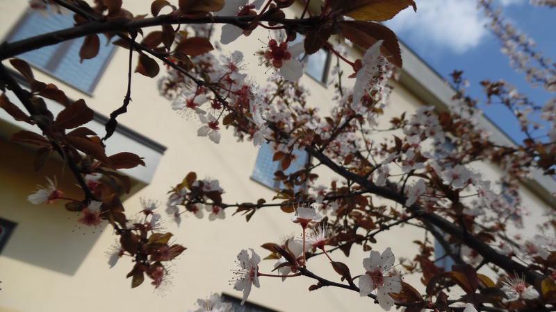 Hotel Majestic - of San Giuliano Milanese photo 3