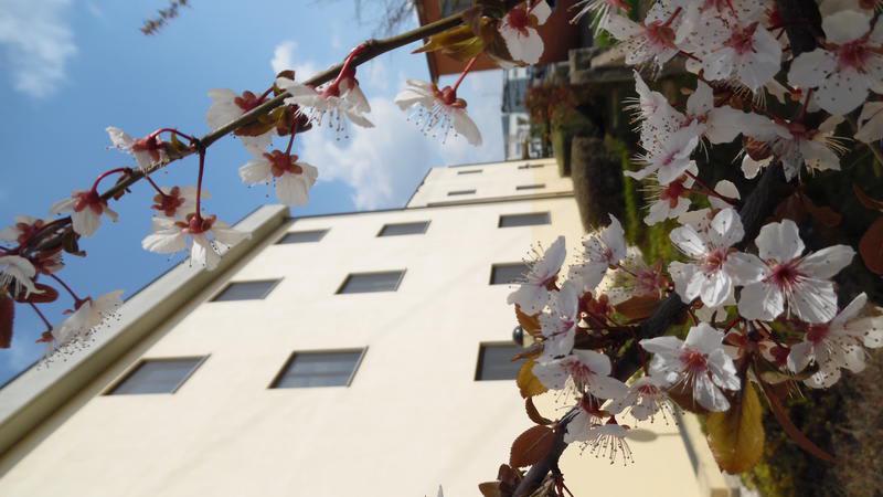 Hotel Majestic - of San Giuliano Milanese photo 4